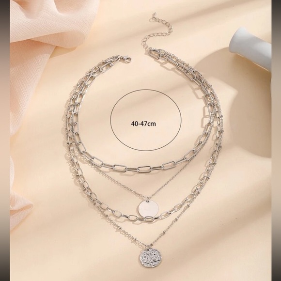 Disc Charm Layered Necklace - Picture 3 of 3